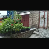 خانه ۱۸۰ متری دربست|فروش زمین و ملک کلنگی|مینودشت, |دیوار