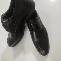 کفش کاملانو نو مجلسی مردانه داخل کارتن سایز42