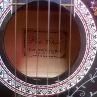 گیتارپایوچیا