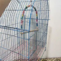 قفس بزرگ طوطی|لوازم جانبی حیوانات|سنندج, |دیوار