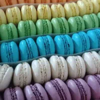 فروشنده شیرینی فروشی (خانم)