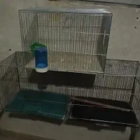 قفس وعروس نر جوجه پرون