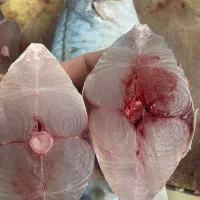 ماهی فروشی صیاد|خوردنی و آشامیدنی|فولادشهر, فولادشهر|دیوار