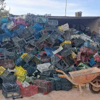 سبدمیوه جعبه کارتن موزی|عمدهفروشی|ورامین, جعفر آباد اخوان|دیوار