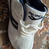 کتونی ورزشی|کیف، کفش، کمربند|تهران, قصر فیروزه ۱|دیوار