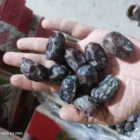 فروش عمده خرما رطب چیپس و ضایعات خرما|خوردنی و آشامیدنی|مشهد, رضاشهر|دیوار