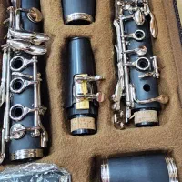 کلارینت بولرا|سازهای بادی|محمدیه-قزوین, |دیوار