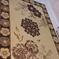 (معاوضه)فرش آشپزخانه و راهرو