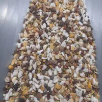 مخلوط کبوتری|لوازم جانبی حیوانات|مبارکه, |دیوار