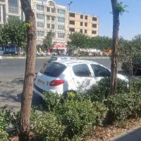 استخدام راننده