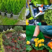 خدمات باغبانی هرس، پاکن، کاشت گل، سمپاشی، کوددهی