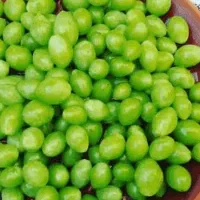 غوره عالی آبدار