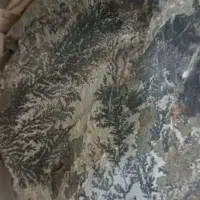 فروش سنگ شجر دریای ۸کیلوی|جواهرات|دهگلان, |دیوار