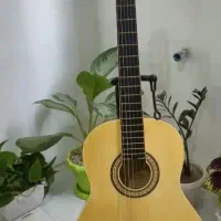 گیتار سالم همراه با کاور