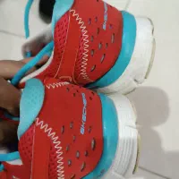 کتونی|کیف، کفش، کمربند|کن, |دیوار