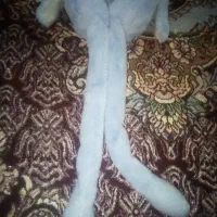 هدفون بی سیم مدل پنجه پمپی