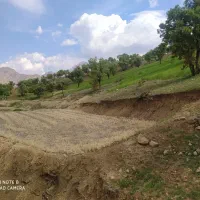زمین جهت طرحهای صنعتی