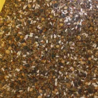 جوجه گوشتی و گلپایگان بوقلمون انواع مخلوط پرندگان