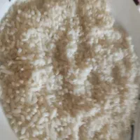 نمیدانه هاشمی درجه یک