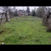 زمین|فروش زمین و ملک کلنگی|گوراب زرمیخ, |دیوار