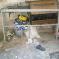 چهار پایه