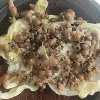جوجه حلزون آچاتین