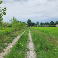 فروش زمین /مزرعه ۸۲۰۰ /مترمربع/ خاصه سرا/جماکو|فروش زمین و ملک کلنگی|تالش, هشتپر|دیوار