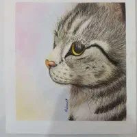 شروع ثبت نام در آموزشگاه چیره دست