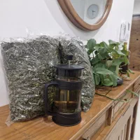 فروش چای سبز ۱۴۰۵ گیلان