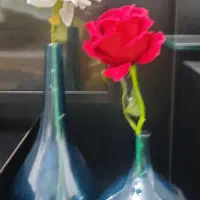 سالنگ بولر