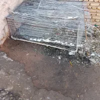 توری کفتر ومرغ. . فقط تماس