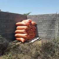 کاه عدس