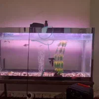 آکواریوم با لوازم