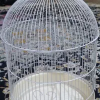 قفس در حد نو سالم