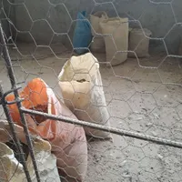 کود خشک مرغی