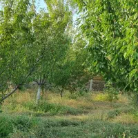 باغ-ویلایی-فشند