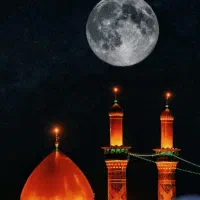 نجف/کربلا ایام فاطمیه