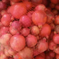 انار همراه با دستگاه ابگیری