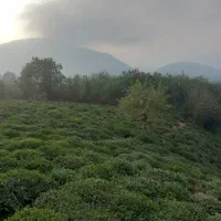 4600-متر-زمین