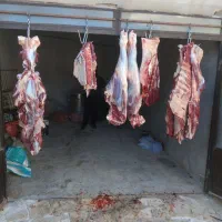 ذبح احشام کوچیک و بزرگ پذیرفته میشود