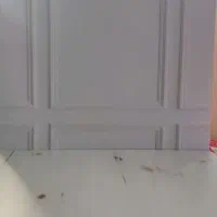 بکدراپ مخصوص عکاسی