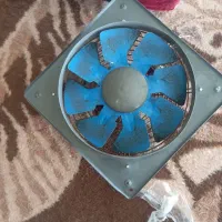 فن براتهویه