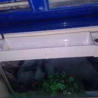 زیبا وتمیز با پایه درحد نو بادماسنج دیجیتالی درب|ماهی|تهران, گلچین|دیوار