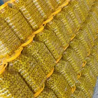 زیتون ویژه|عمدهفروشی|قم, شهرک خودرو|دیوار