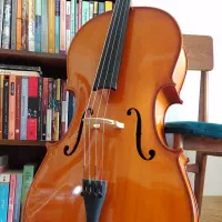 فروش ویولنسل تی اف 132 سایز 4/4|ویولن|بابل, |دیوار