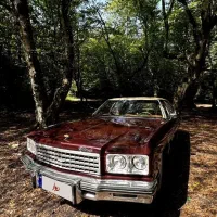 اجاره ماشین کلاسیک برای عروسی،فرمالیته و ...|خودرو اجارهای|نوشهر, |دیوار