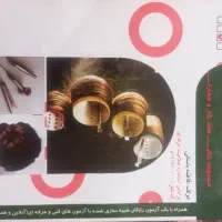 کتاب شینیون(آرایش مو)
