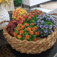 .ساعت.میزاینه صندلی.تاب و بقیه عکس گذاشتم|صنایع دستی و سایر لوازم تزئینی|شاهینشهر, عطار|دیوار