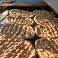 استخدام کاریابی