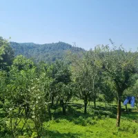 فروش ۶۰۰متر زمین در سیاهکل